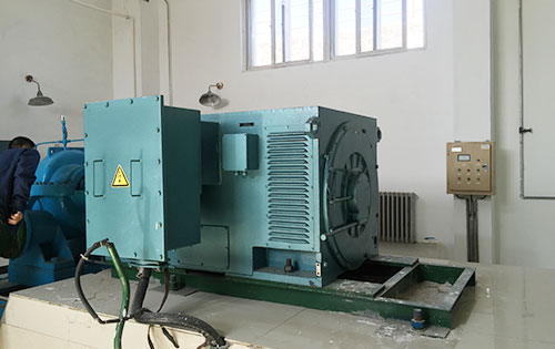 勐腊某水电站工程主水泵使用我公司高压电机