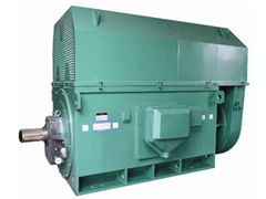 勐腊Y系列6KV高压电机